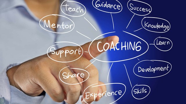 Career coaching - My career profile