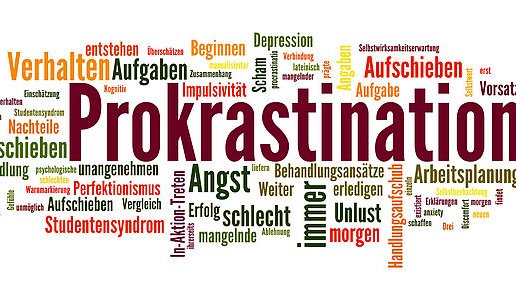 The German science system